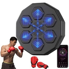 Boxing Training Target Wall